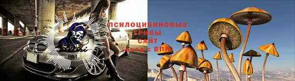 герыч Алзамай