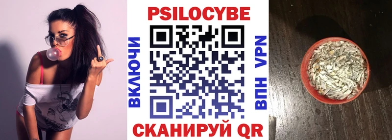 blacksprut ССЫЛКА  где купить наркотик  Почеп  Псилоцибиновые грибы Psilocybe 